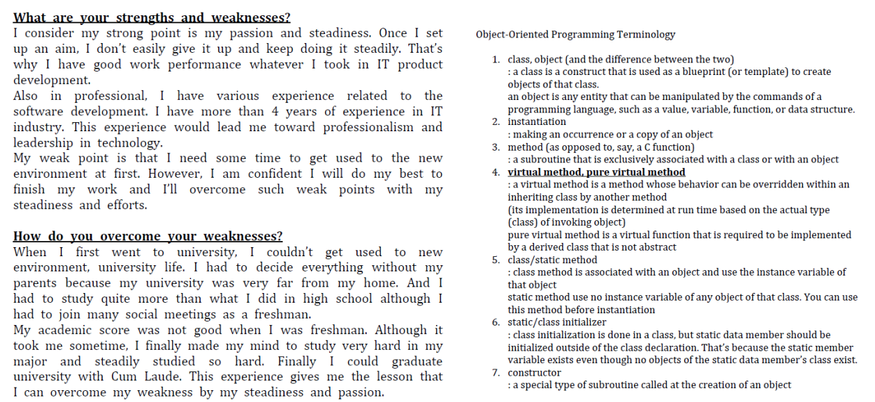 My interview preparation scripts (Left: Behavior Questions, Right: Technical Questions)